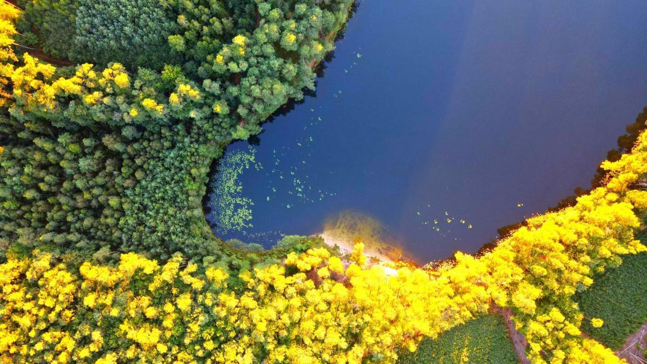Over The River - Widok Na Rzeke, Przy Parku, Parking, Winda, Netflix I Max, Centrum Iława Exterior foto